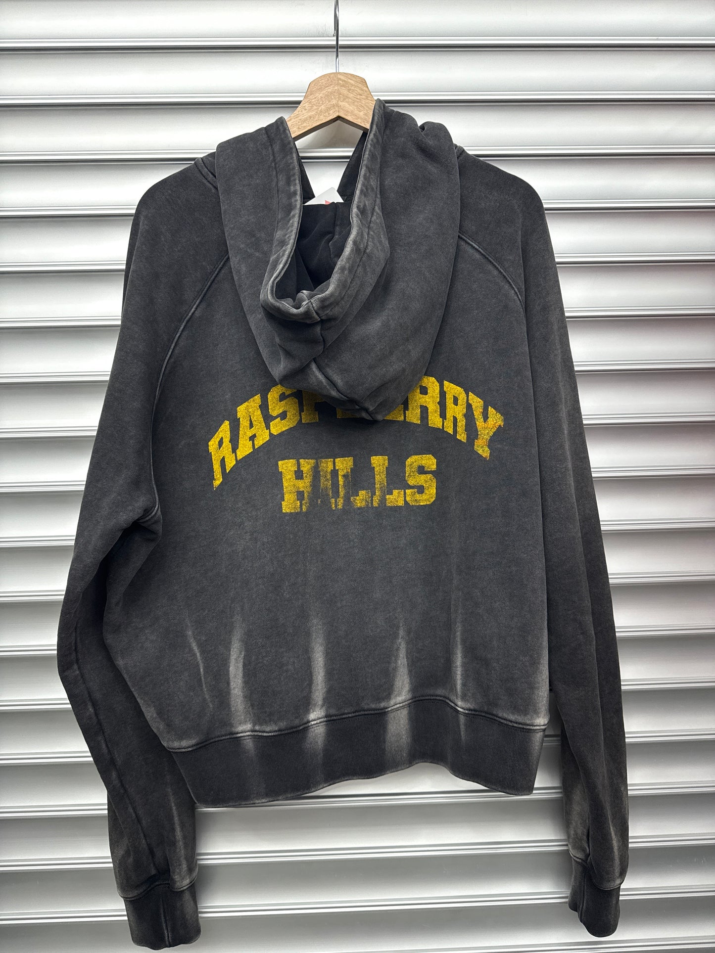 Raspberry Hills Sun Faded Hoodie - S
