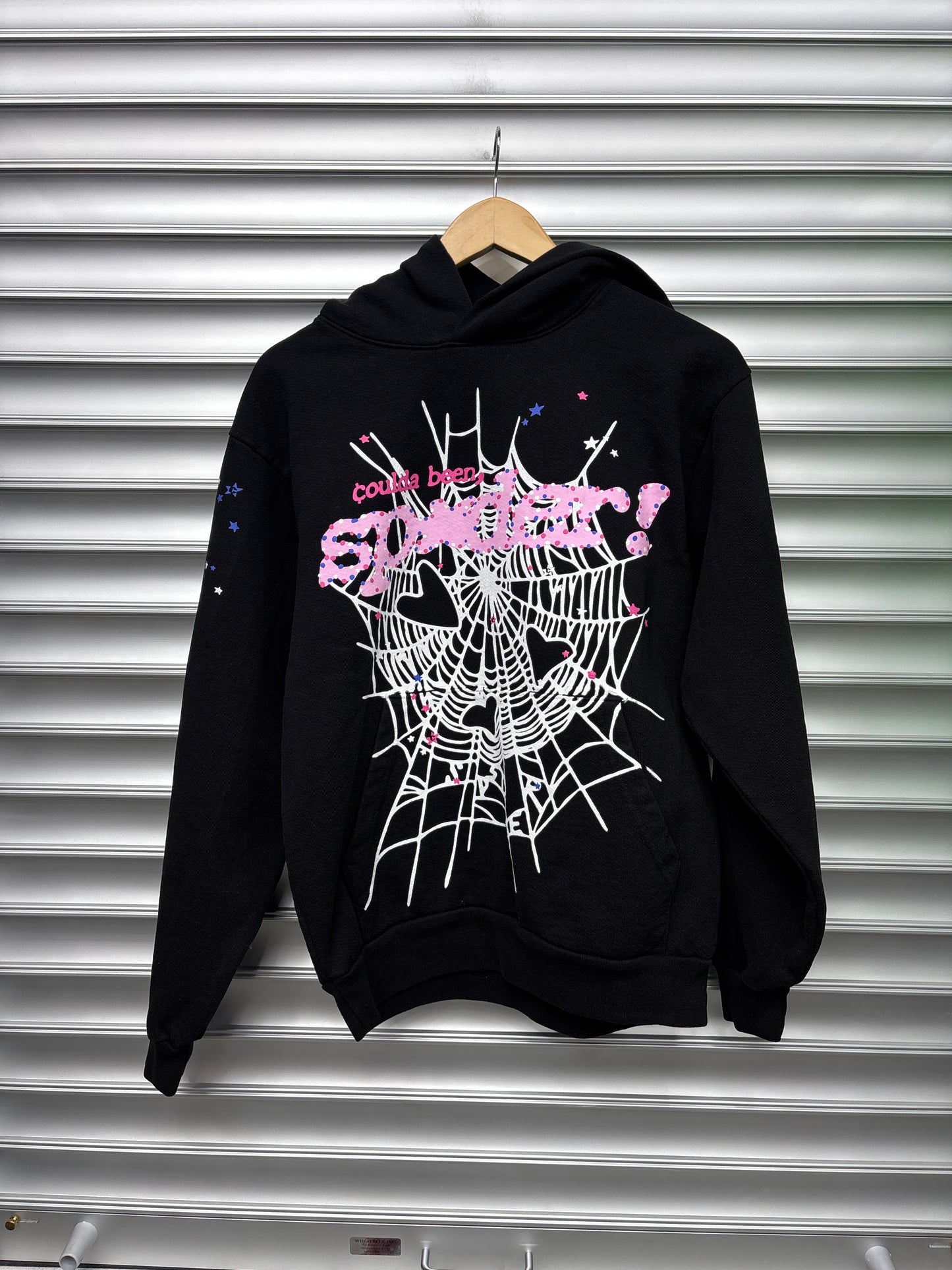 Spider Coulda Been Hoodie - Small