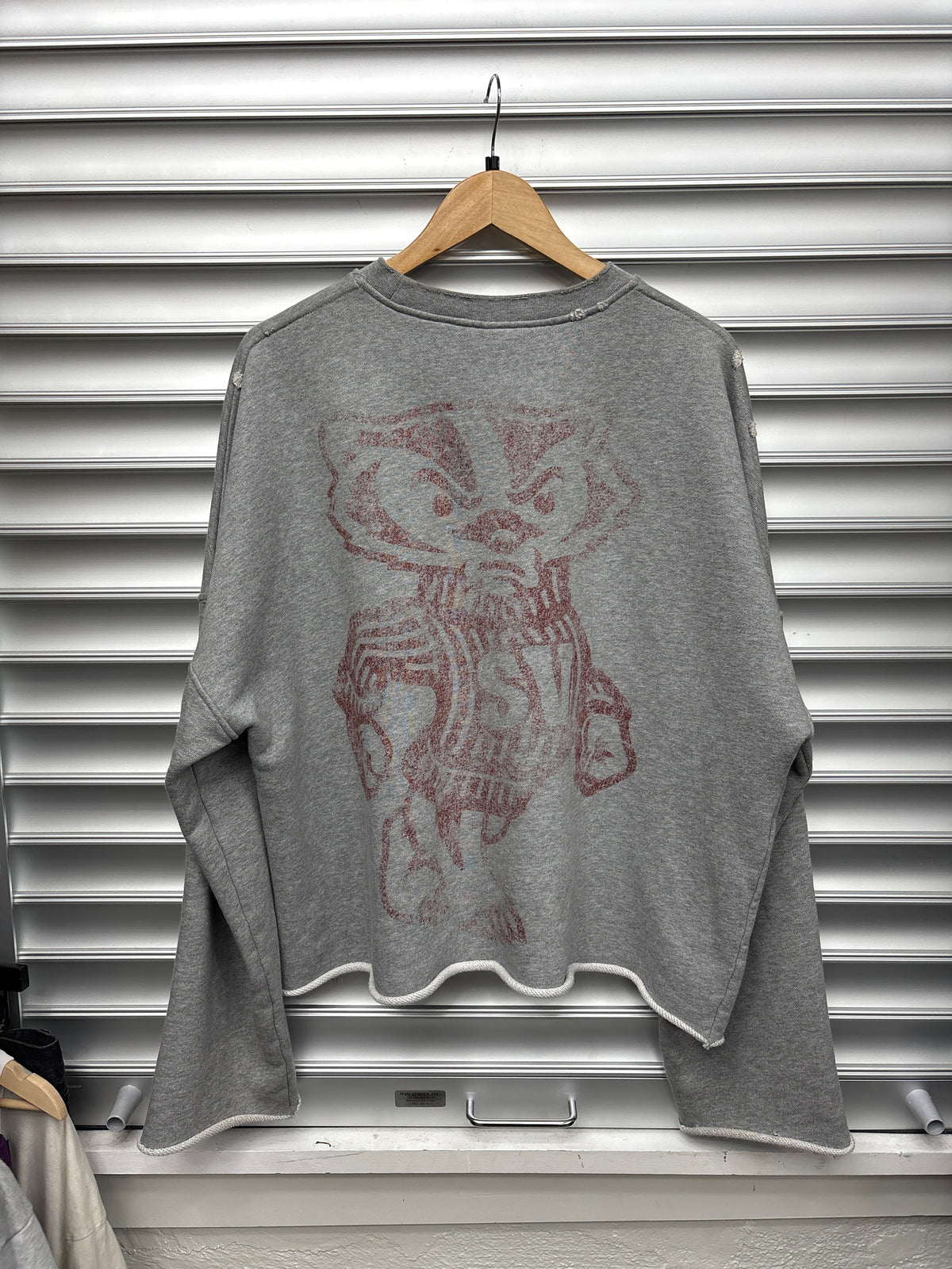Saint Vanity Grey Cropped Longsleeve - L**