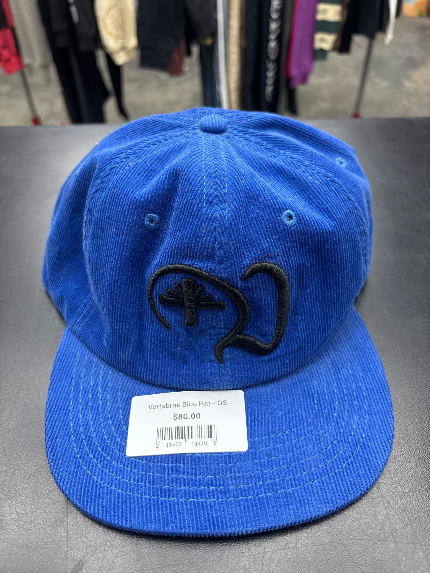 Vertabrae Blue Hat - OS