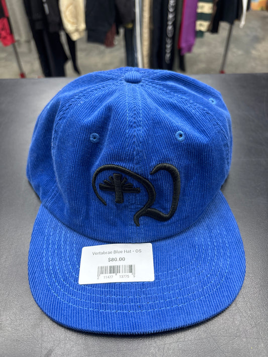 Vertabrae Blue Hat - OS