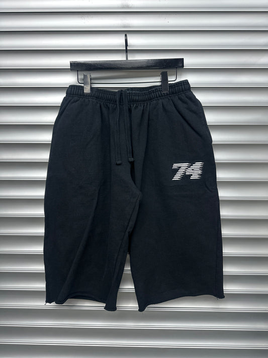 74 3/4 Shorts - L