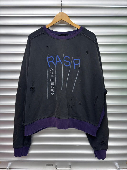 Raspberry Purple Color Crew Neck - XL