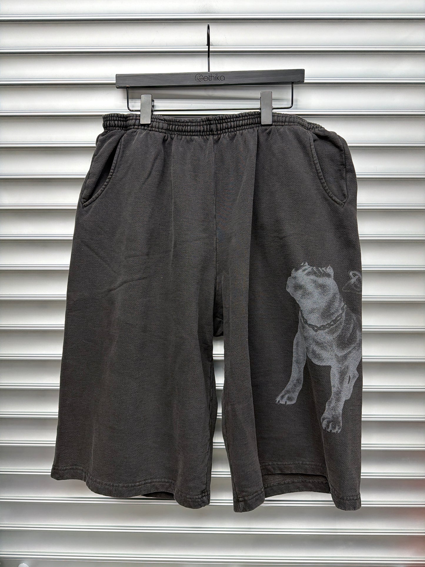 GV Dog Shorts - XXL