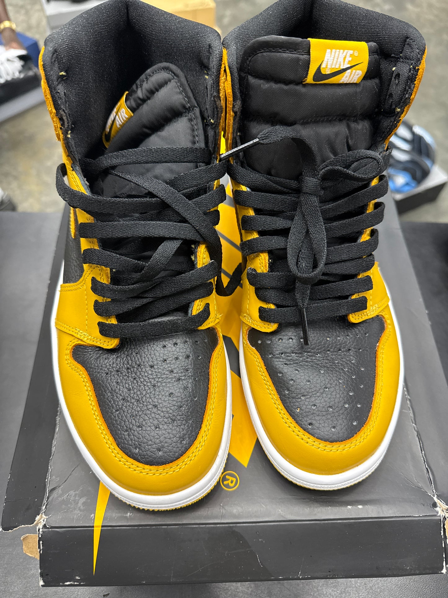 AJ1 Pollen (U) - 9.5M