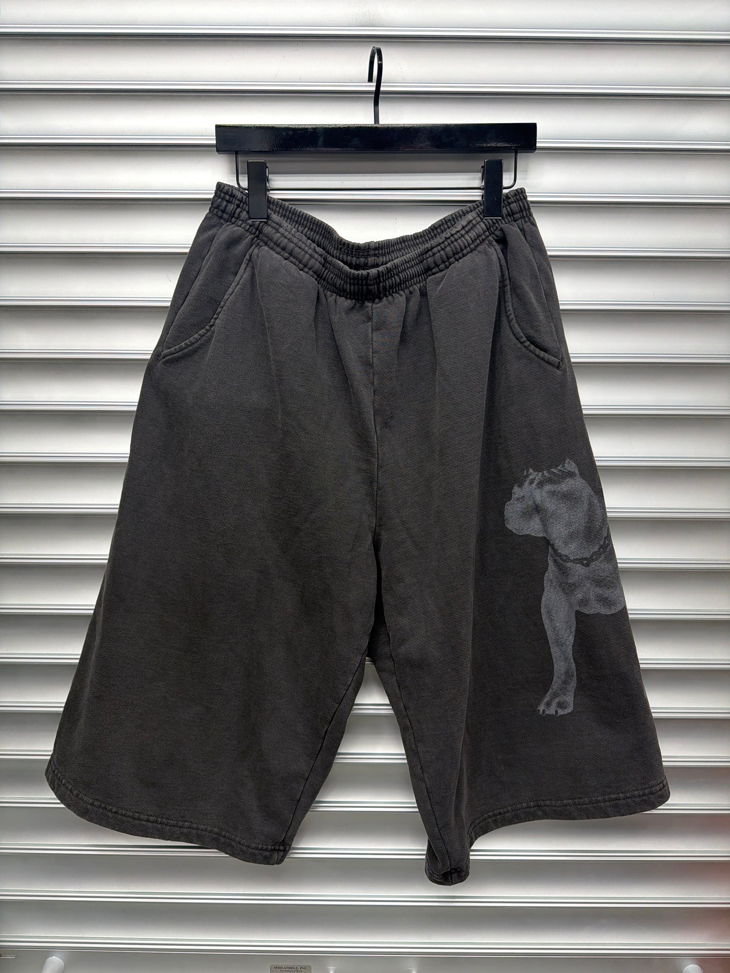 GV Dog Shorts - XL