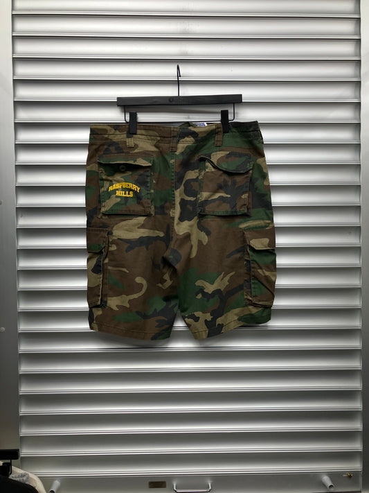 Raspberry Hills Camo Shorts - L