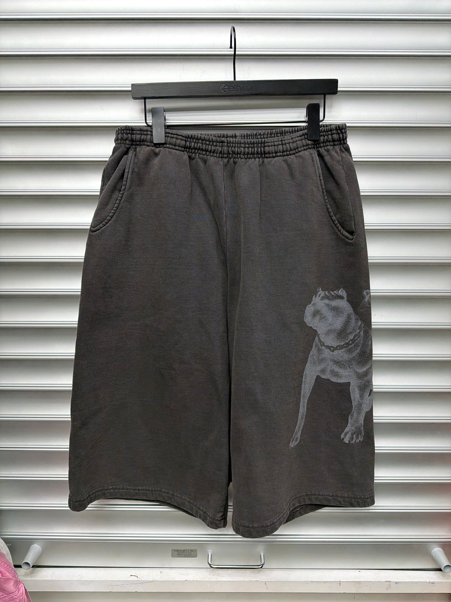 GV Dog Shorts - L