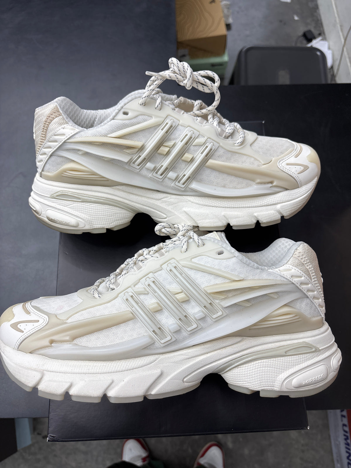 Adidas Jellyfish Creme (U) - 11.5M**