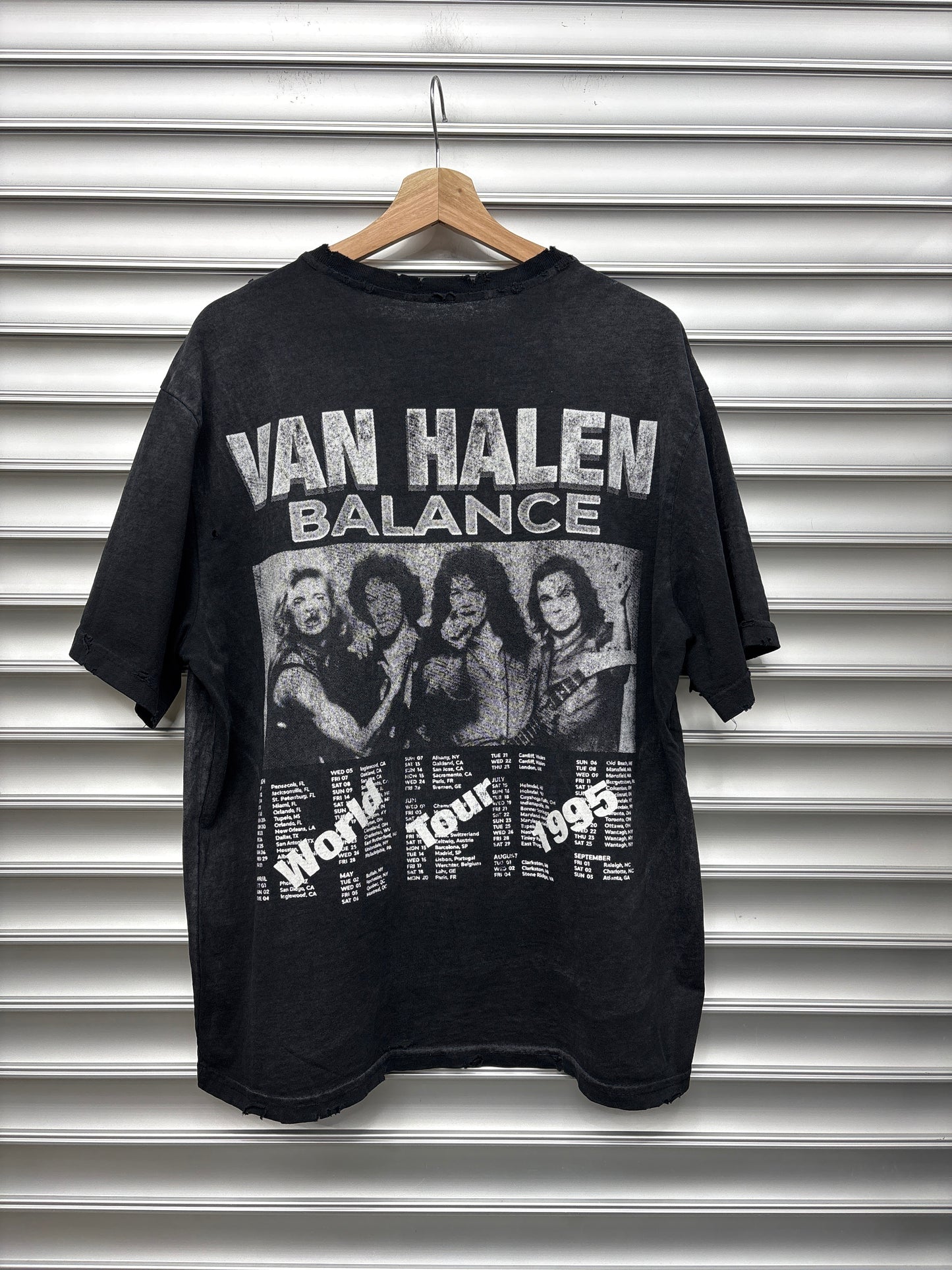 Raspberry Vanhalen Tee - M
