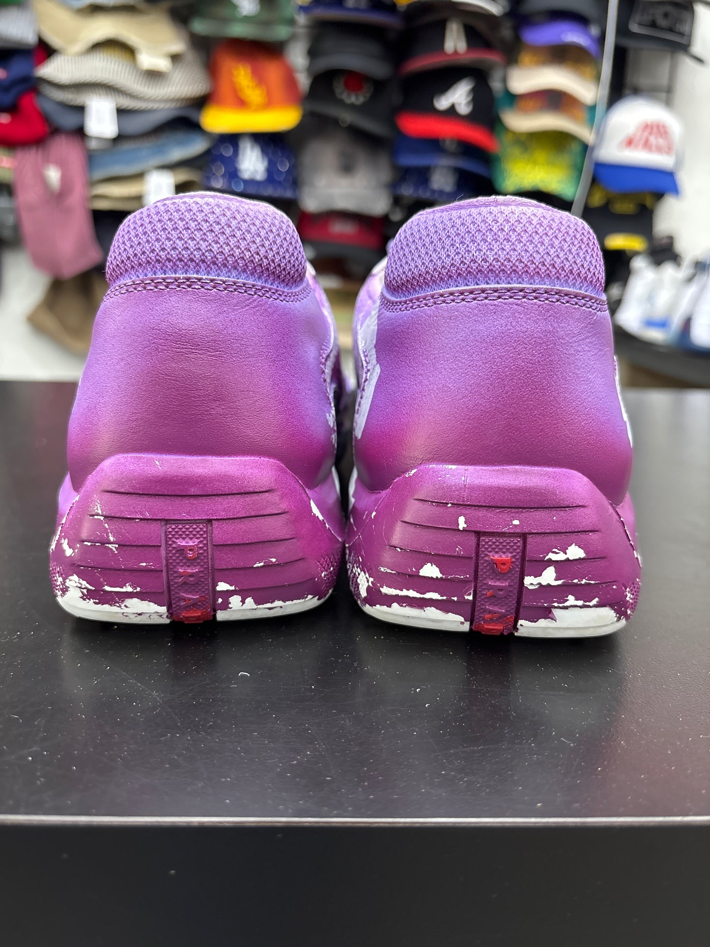 Prada America Cup Cass Purple (U) - 10M (NB)