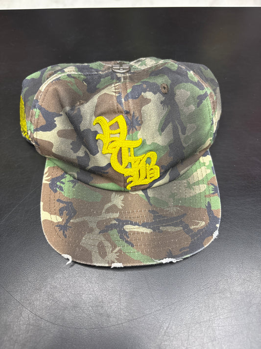 Vertabrae Camo Hat