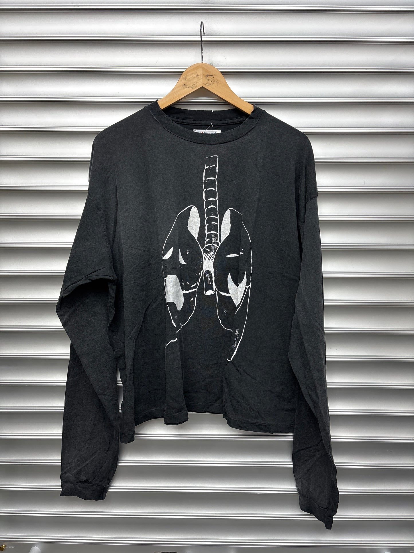 HMDD Lung L/S - L